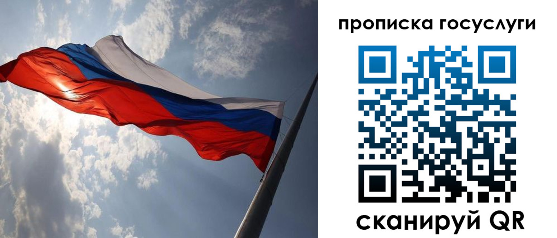 где прописаться в Химках